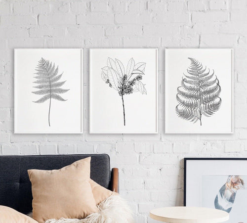 Botanical leaves - Set of 3 prints-Chic Prints