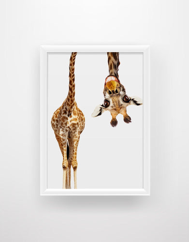 Funny Giraffe Print - Chic Prints