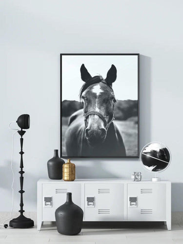 Noble - Monochrome horse print-Chic Prints