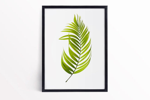 Palm Leaf Print - Botanical Prints-Chic Prints