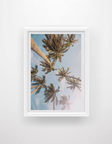 Palm Tree 3 - Chic Prints