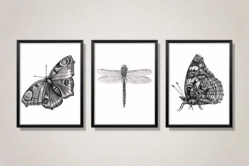 Rustic Insects - Modern Art Prints-Chic Prints